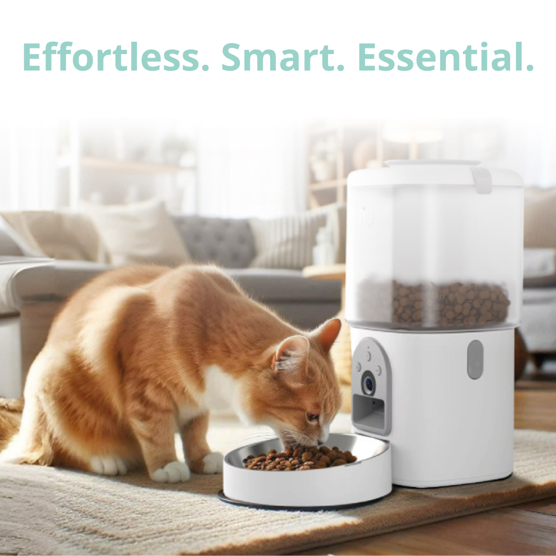 3 in 1 Automatic Cat Feeder and Water Fountain - with Camera - Tiny For Pets
