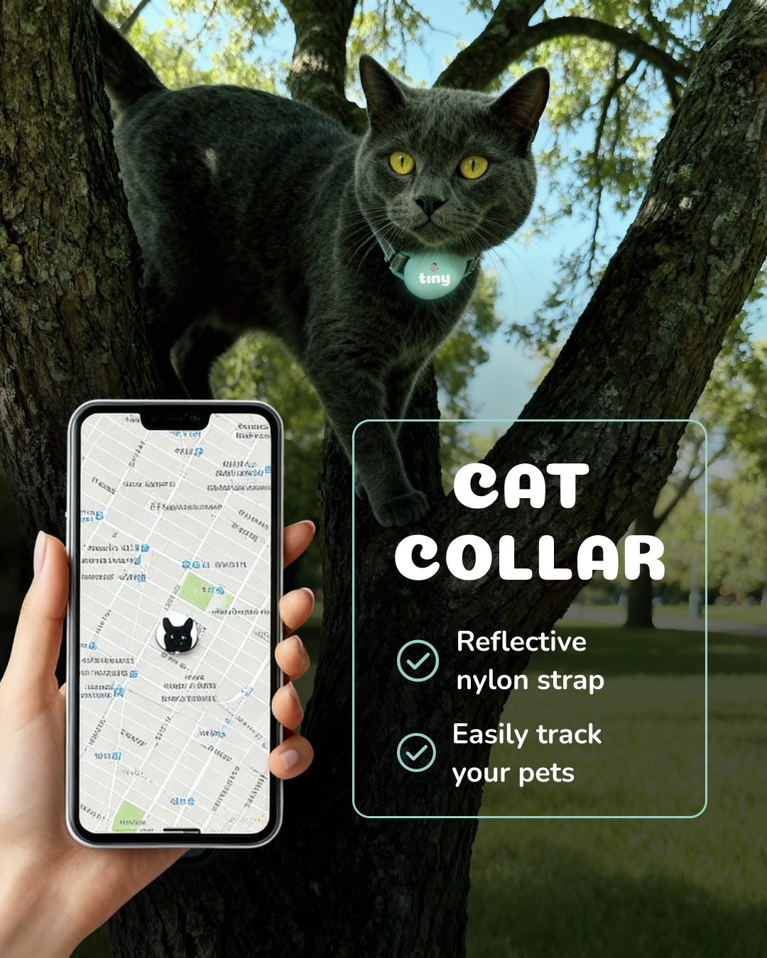 Cat Collar -  TINY 3