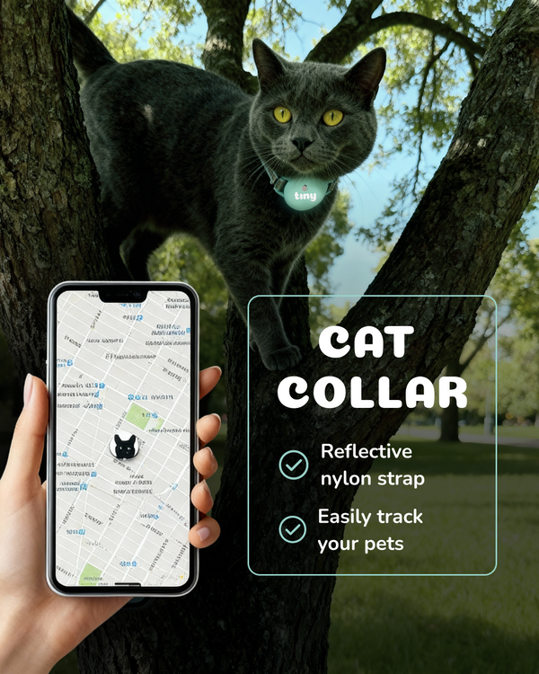 Cat Collar -  TINY 3