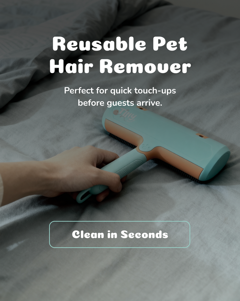 Reusable Pet Hair Remover Roller – No Adhesive, Self-Cleaning, Multi-Surface for Couch, Bed & Car