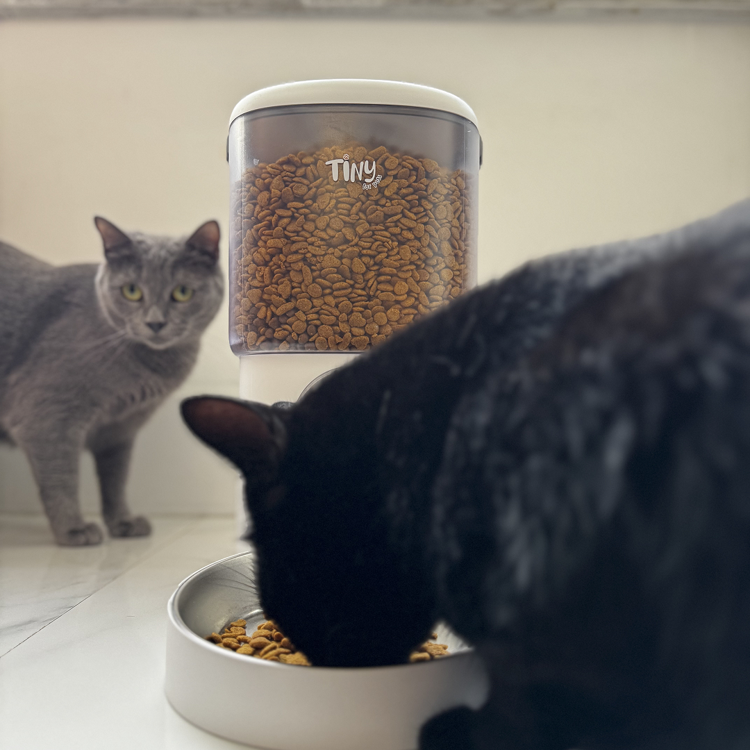 3 in 1 Automatic Cat Feeder and Water Fountain - with Camera - Tiny For Pets